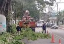 เทศบาลนครเชียงราย ขุดลอกน้ำกกสายใน เพิ่มประสิทธิภาพการระบายน้ำพร้อมตัดแต่งกิ่งต้นไม้เสริมความสะอาดรักษาสิ่งแวดล้อม