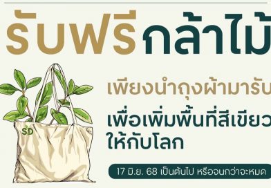 🌱 “รับฟรี! กล้าไม้” 🍀 ร่วมฉลองครบรอบ 45 ปี เซ็นทรัลพัฒนาพร้อมเติมพื้นที่สีเขียวให้โลกไปกับเรา 🍀💚